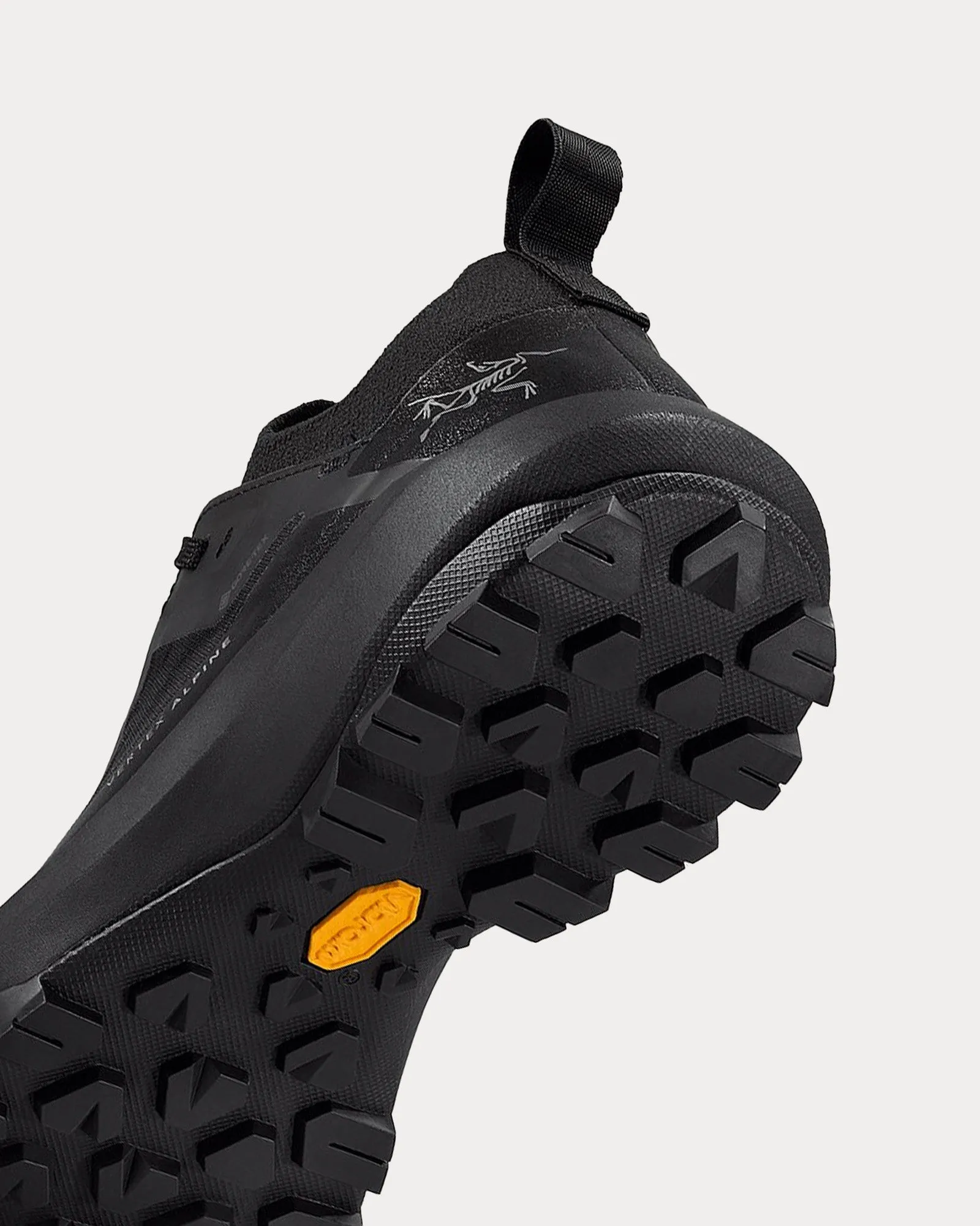Vertex Alpine GTX Black / Black Running Shoes